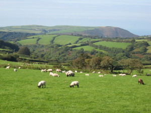 De Britse 'countryside' huist vele grote en kleine festivals (foto: Derek Voller / CC BY-SA 2.0).