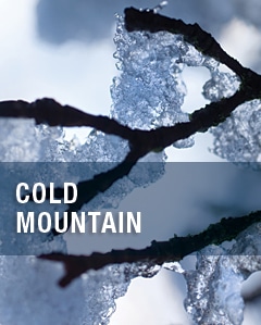 Cold Mountain is te zien bij de Santa Fe Opera, de Opera Philadelphia en de Minnesota Opera.